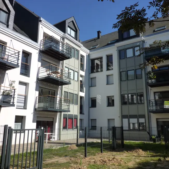 extérieurs 05-10-2016 (7)